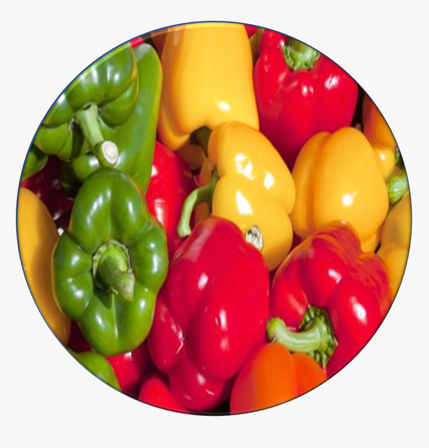 Bell Pepper - $, HD Png Download, Free Download