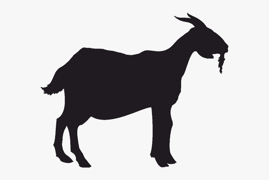 Boer Goat Anglo-nubian Goat Pygmy Goat Silhouette - Silhouette Goat Vector Png, Transparent Png, Free Download