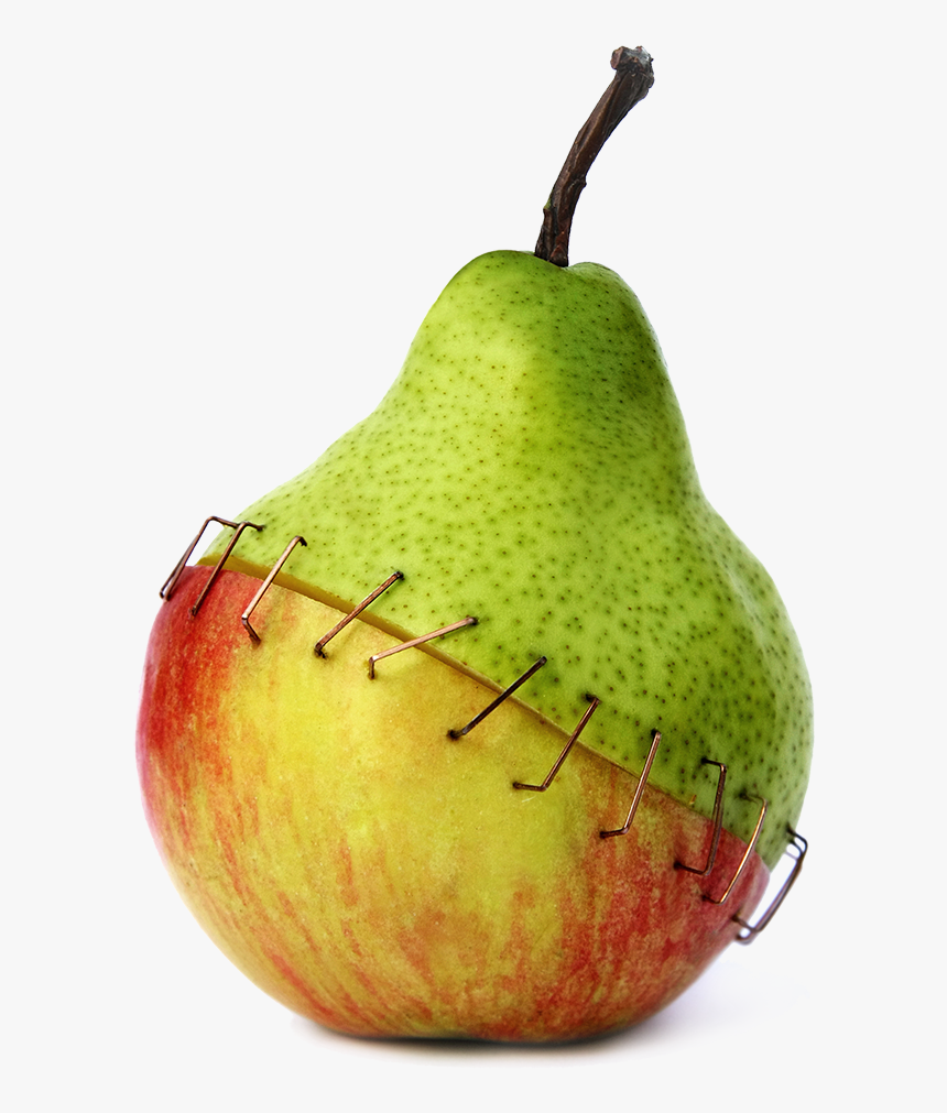 Genetically Modified Organisms, HD Png Download, Free Download