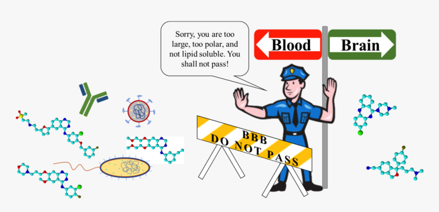 Drugdev Large - Cartoon, HD Png Download, Free Download