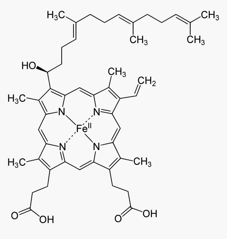 Haemoglobin To Methaemoglobin Nitrite, HD Png Download, Free Download