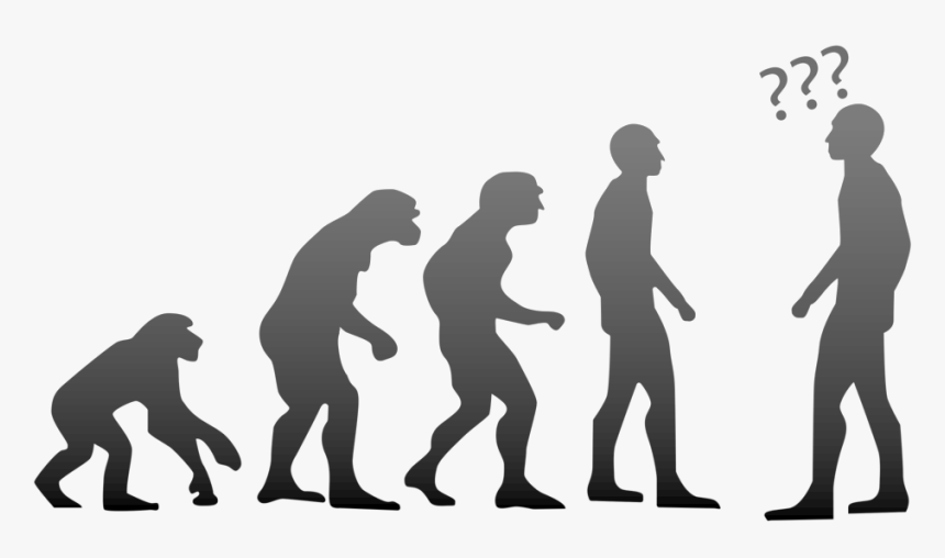 Img 4533, HD Png Download, Free Download