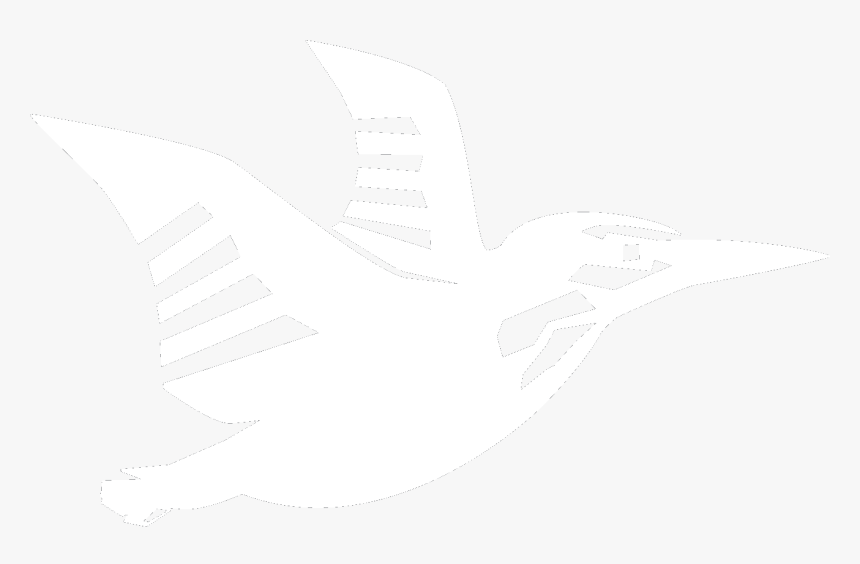 Seabird, HD Png Download, Free Download