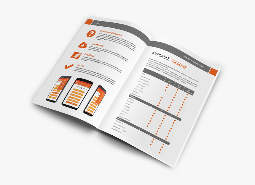 Presentation Ideas Brochure - One Pager Brand Identity, HD Png Download, Free Download