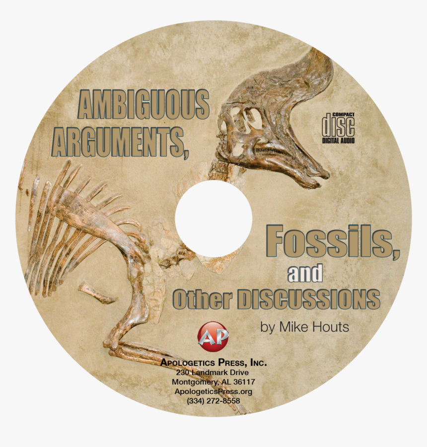 Transparent Fossils Png, Png Download, Free Download