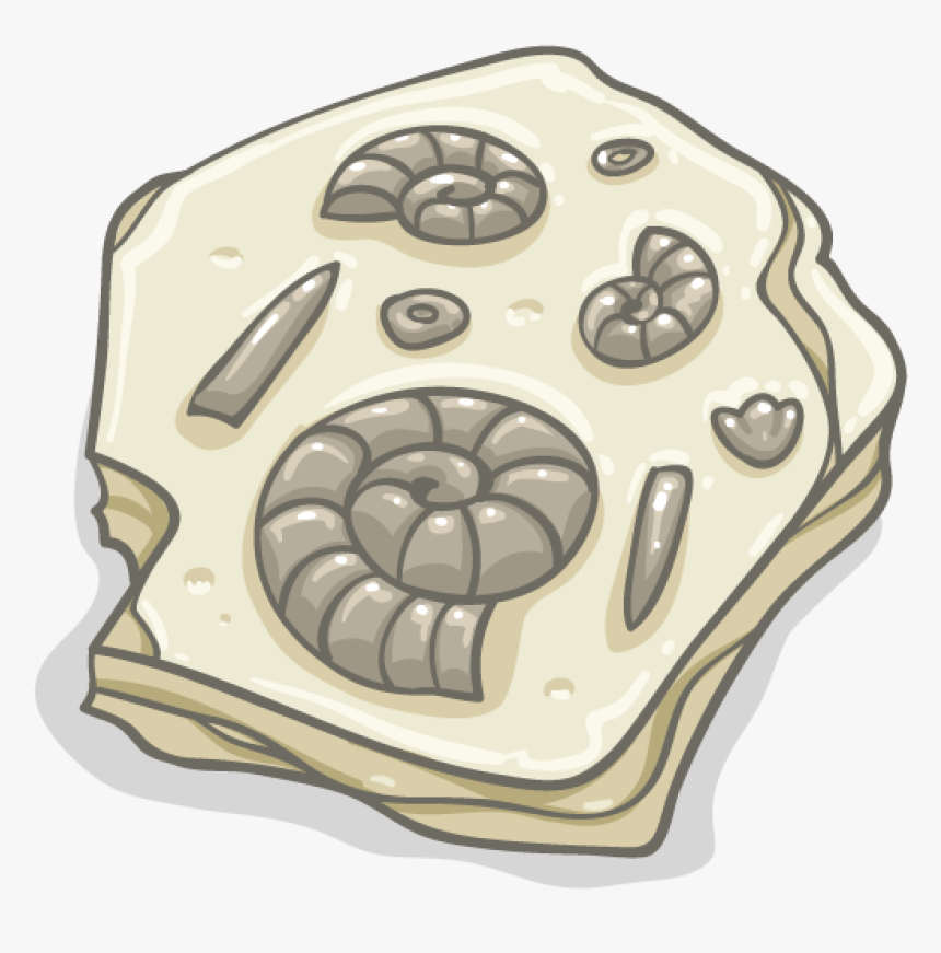 Cartoon Fossil Png, Transparent Png, Free Download