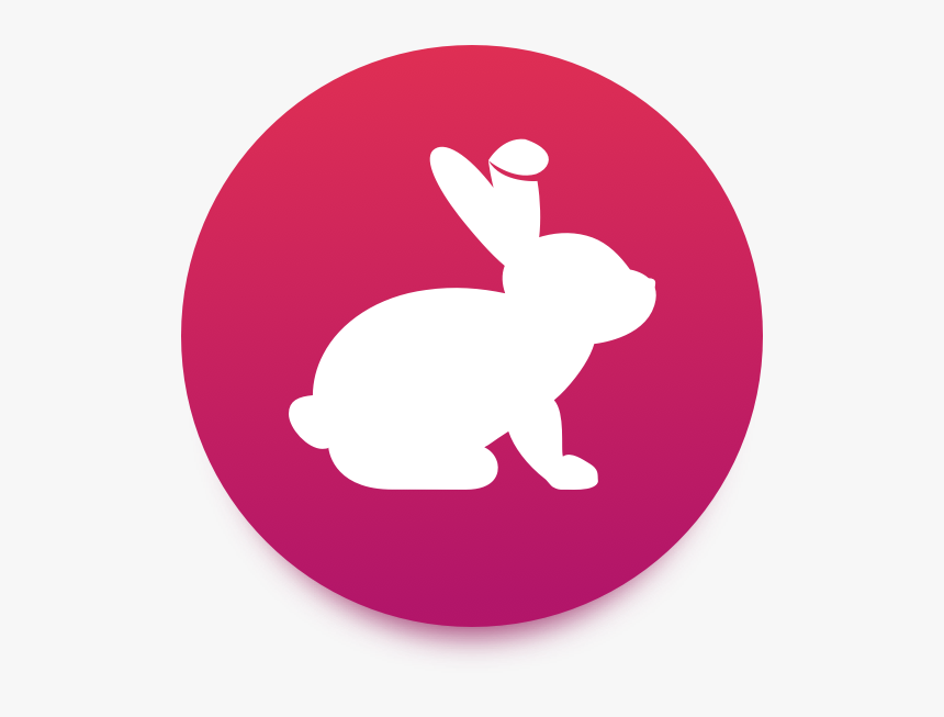 Bunny Token - Bunnytoken, HD Png Download, Free Download