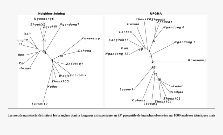 Diagram, HD Png Download, Free Download