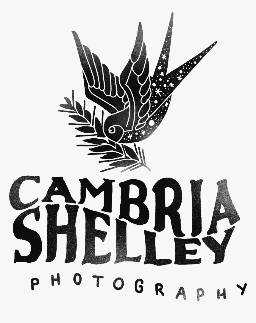 Transparent Cambria Logo Png - Illustration, Png Download, Free Download