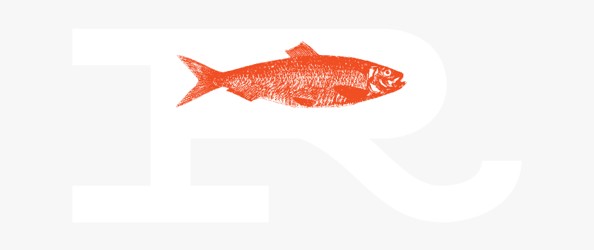 Bony-fish, HD Png Download, Free Download