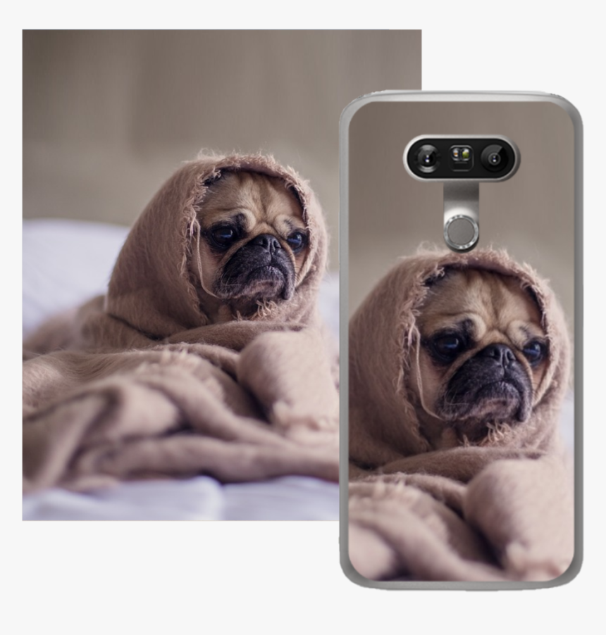 Pug Meme Blanket, HD Png Download, Free Download