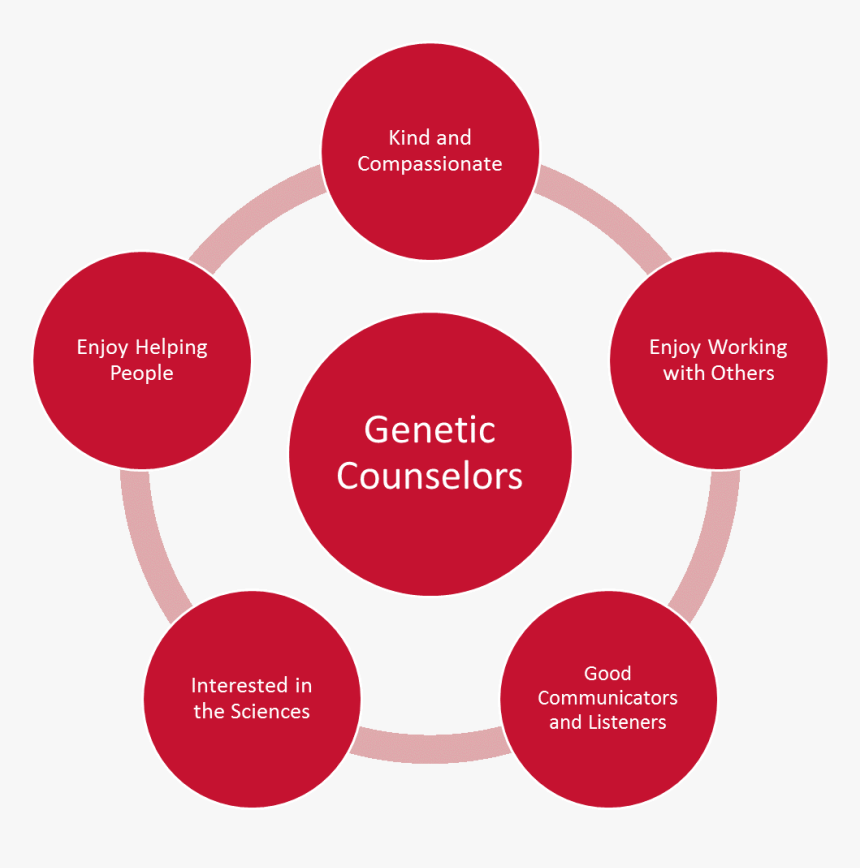 Is A Career In Genetic Counseling Right For You - Different Worldviews, HD Png Download, Free Download