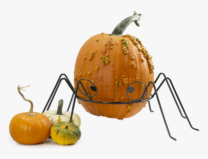 Transparent Pumpkin Vines Png, Png Download, Free Download