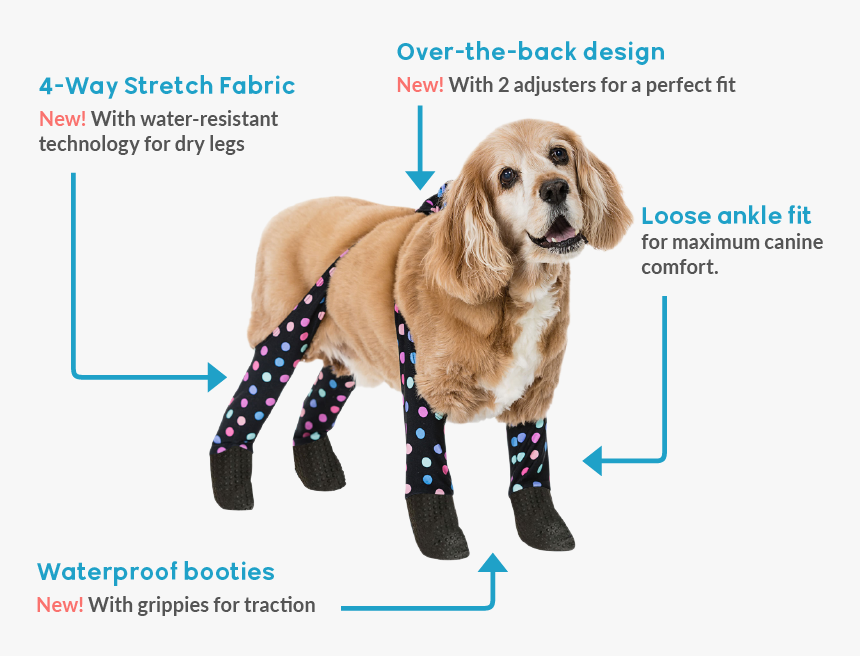 Dog Paw Snow Booties, HD Png Download, Free Download