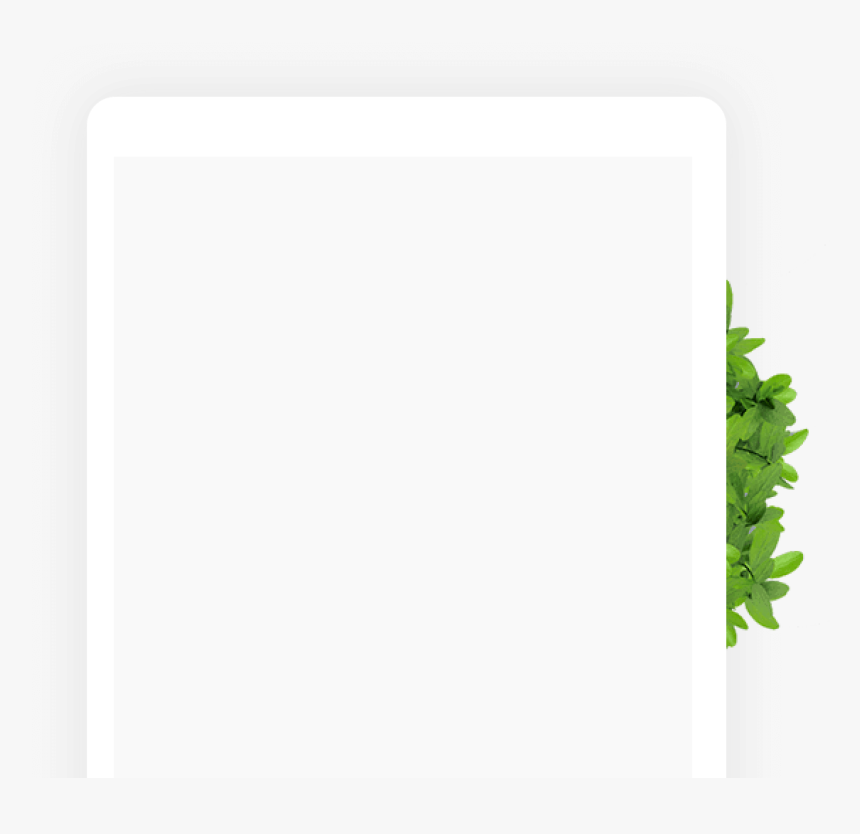 Marketing Por Correo Electrónico De Zoho - Fern, HD Png Download, Free Download