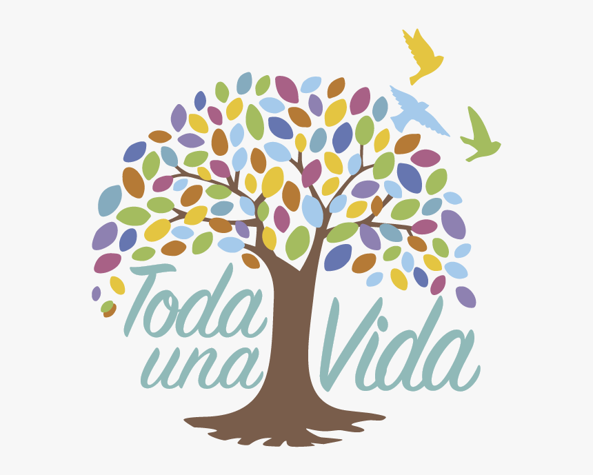 Plan Toda Una Vida Ecuador, HD Png Download, Free Download