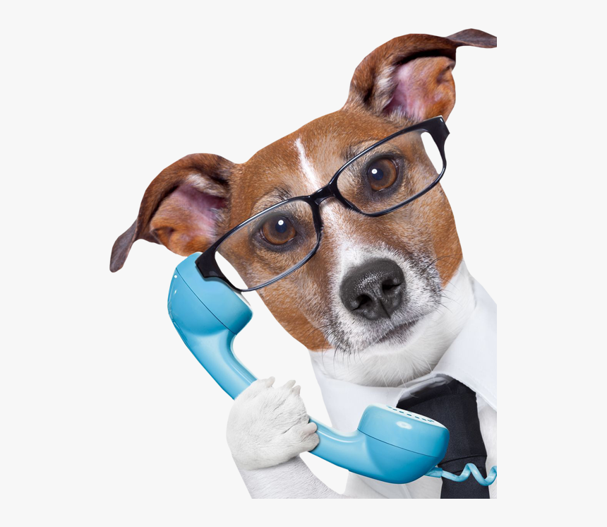Transparent House Phone Png - Dog On The Phone, Png Download, Free Download