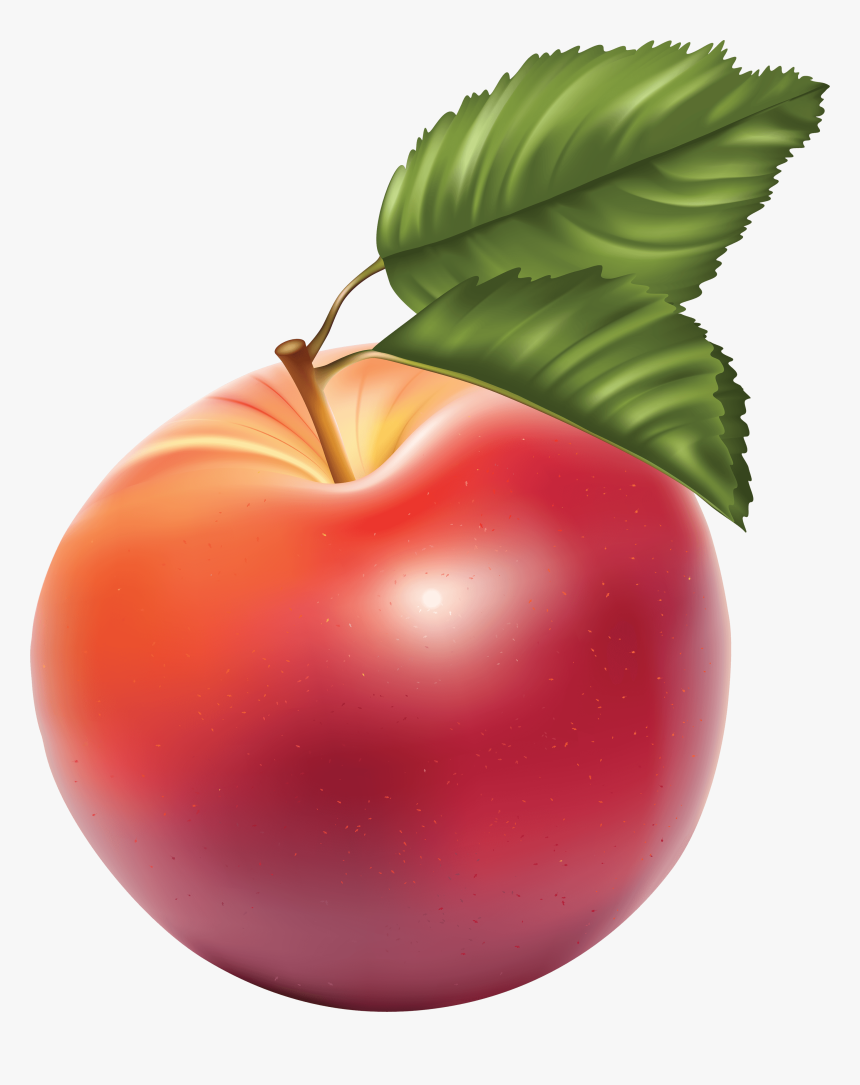 53 Png Apple Image Clipart Transparent Png Apple - Apples Free Clipart, Png Download, Free Download