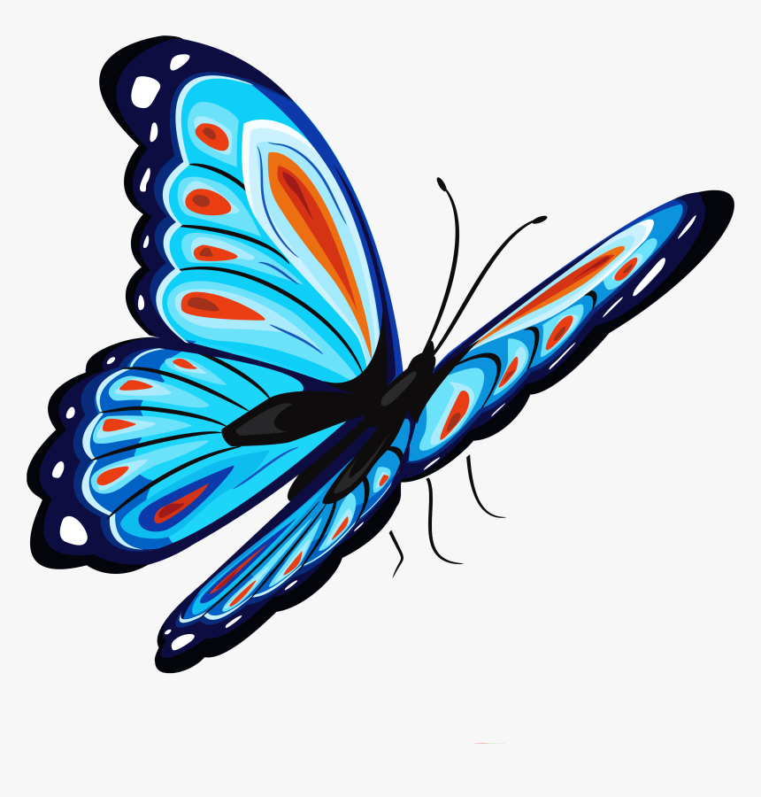 Download Butterfly Png - Cb Butterfly Png, Transparent Png, Free Download