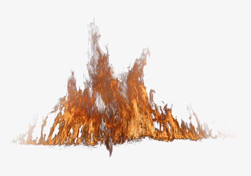 Tree On Fire Png, Transparent Png, Free Download