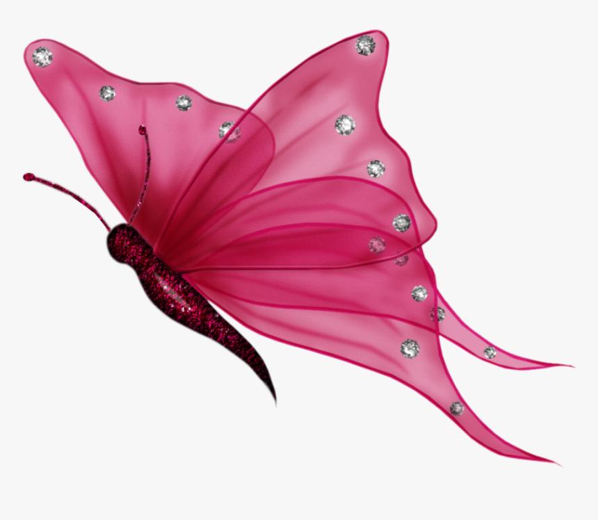 Butterfly Png Download Image - Transparent Background Butterfly Clipart, Png Download, Free Download