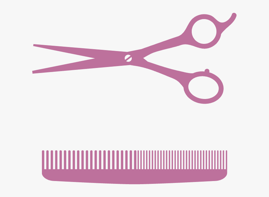Haircutting & Styling, HD Png Download, Free Download