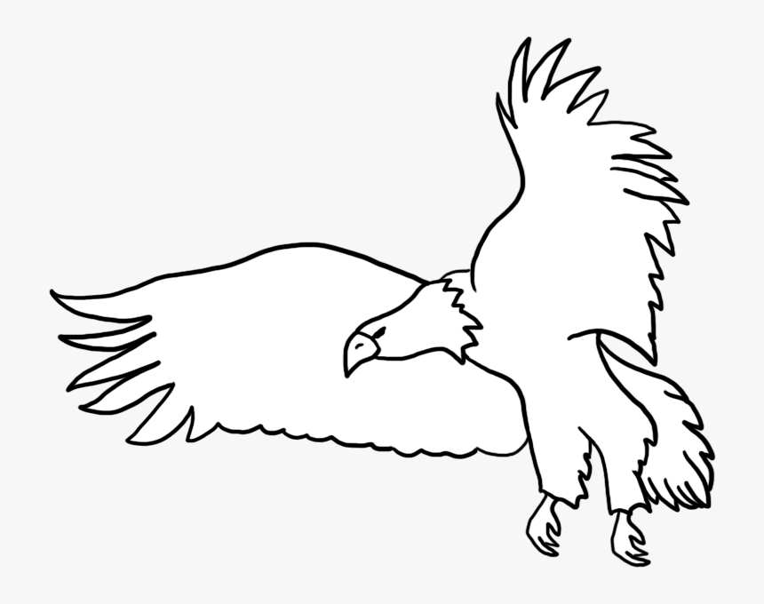 Bald Eagle Drawings Flying Eagle - Eagle Png Background Black, Transparent Png, Free Download