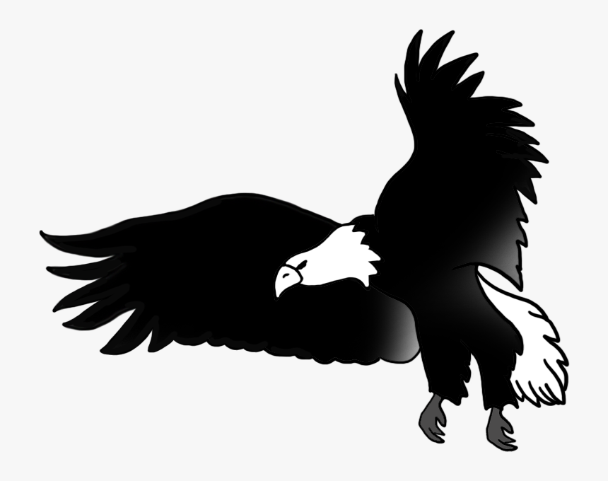 Transparent Eagle Png Image - Black Eagle For Drawing, Png Download, Free Download