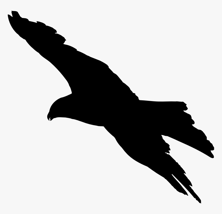 Bird Flight Bird Flight Bald Eagle Silhouette - Silhouette Of Bird Of Prey, HD Png Download, Free Download