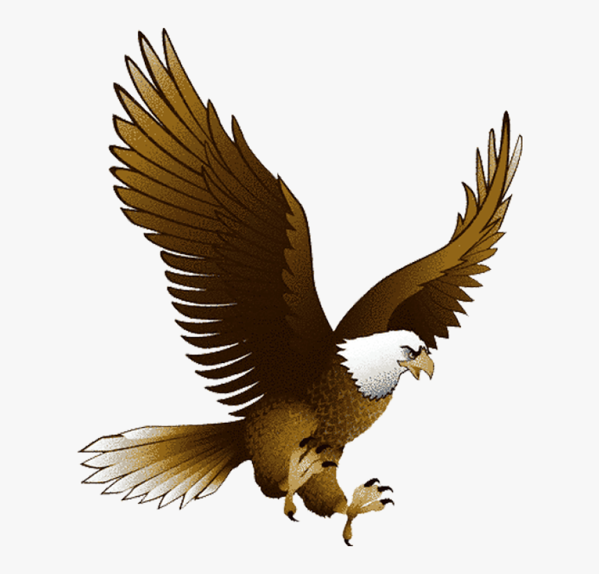 Patriotic Bald Eagle Image Png Clipart - Eagle Png, Transparent Png, Free Download