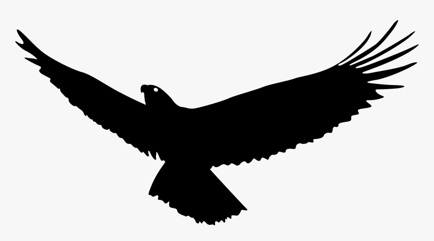 Vulture Vector Wing - Flying Eagle Silhouette Png, Transparent Png, Free Download