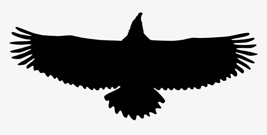 Clip Art Silhouette Eagle, HD Png Download, Free Download