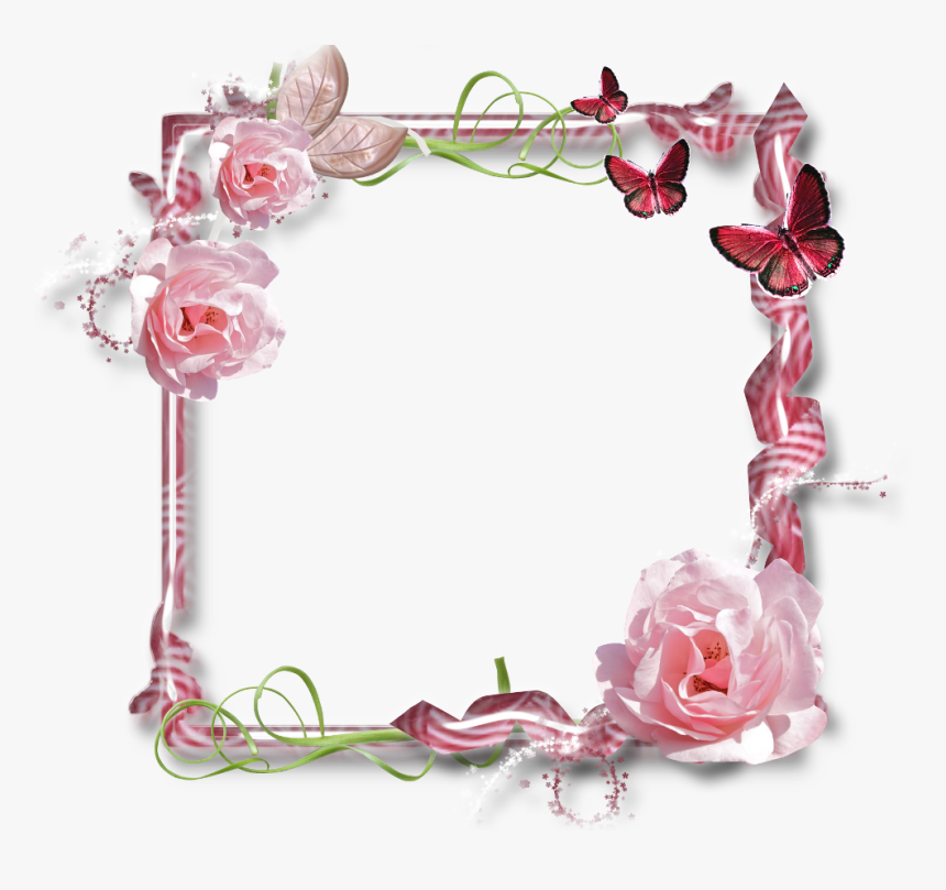 Frame For Scrap Booking Are Taggin - Pink Rose Flower, HD Png Download, Free Download