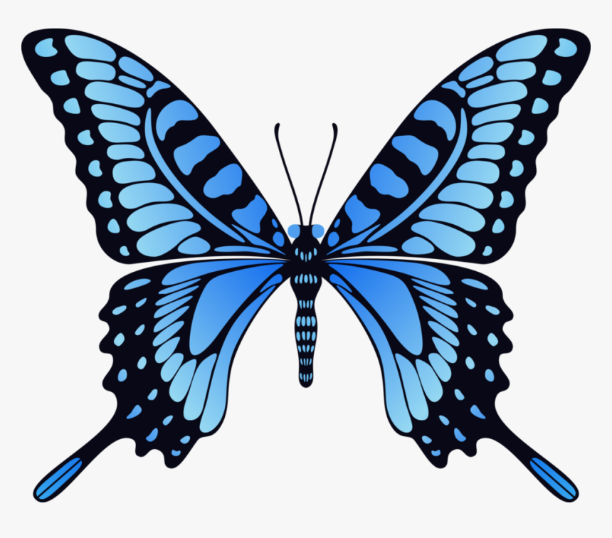 Butterfly Gif Png, Transparent Png, Free Download