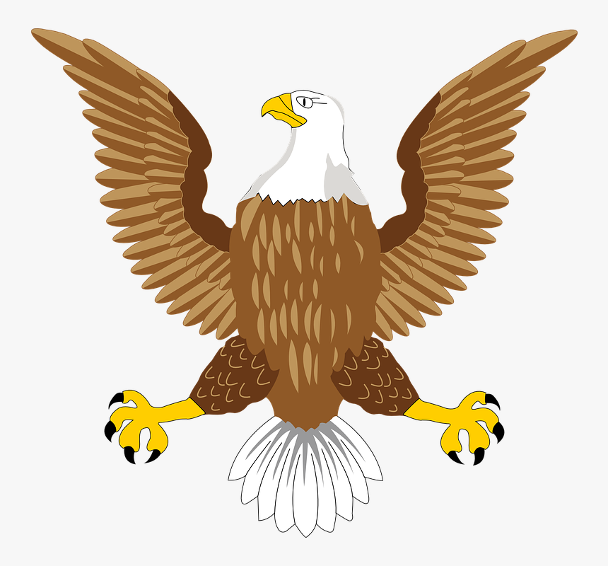 Bald, Eagle, National, Usa, Symbol, Bird, American - Usa Bald Eagle Symbol, HD Png Download, Free Download