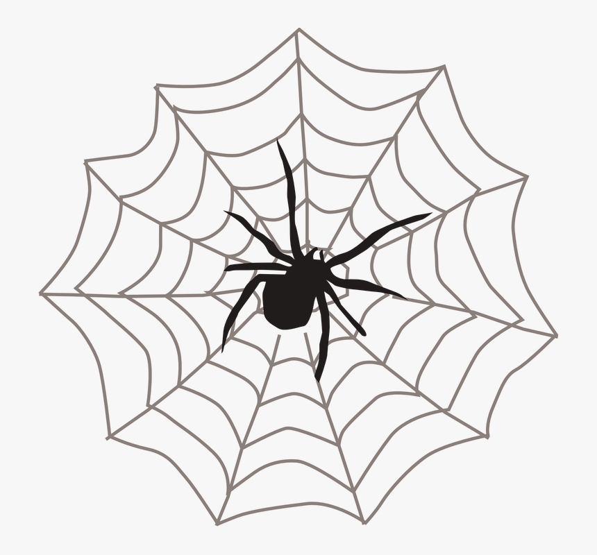 Teia Spider Man Png - Spider On Web Clipart, Transparent Png, Free Download