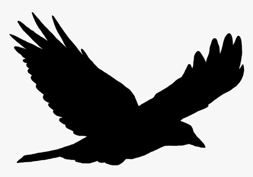 Birds Silhouette Png -bird Silhouette Solo Flying - Flying Bird Silhouette Png, Transparent Png, Free Download