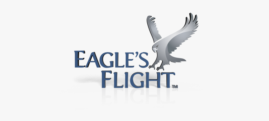 Want To Become An Eagle"s Flight Global Licensee - Red-tailed Hawk, HD Png Download, Free Download