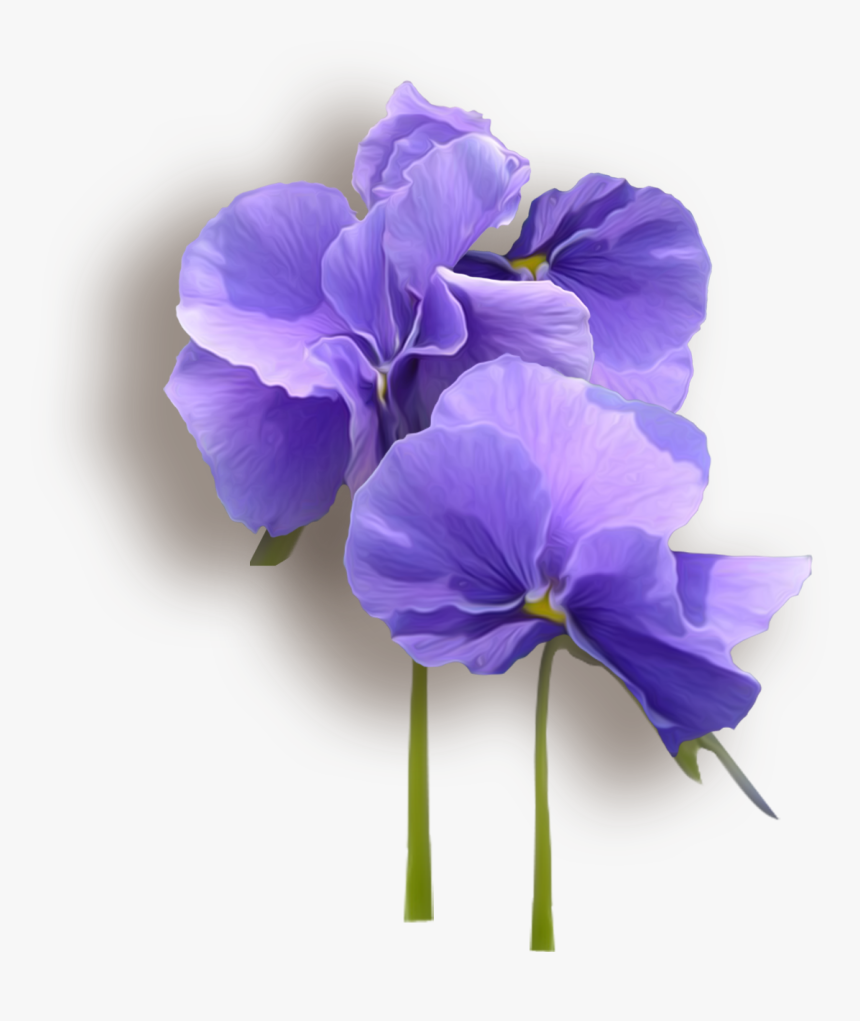 Flower Violet, HD Png Download, Free Download