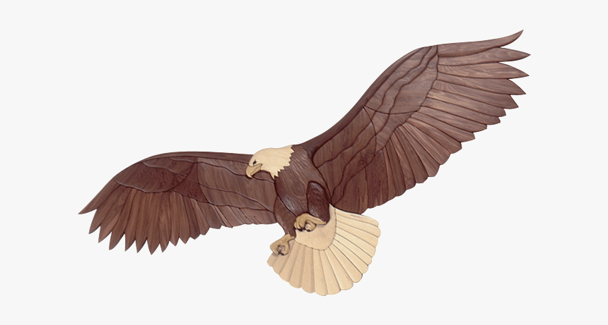 Intarsia Woodworking Pattern Of A Bald Eagle In Flight - Printable Wood Intarsia Patterns, HD Png Download, Free Download