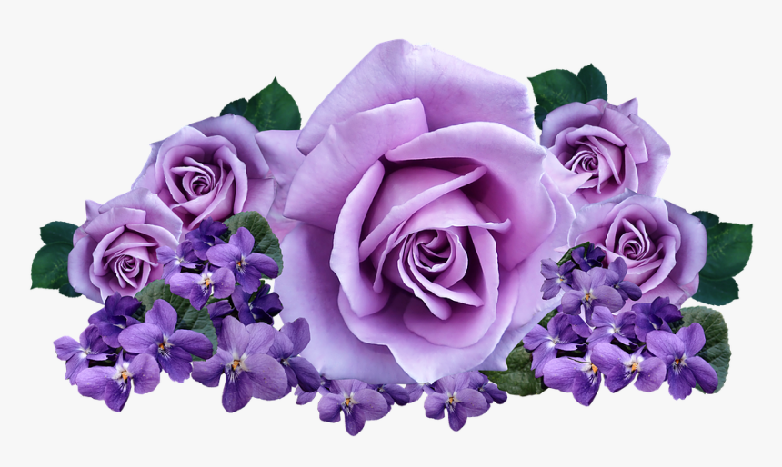 Roses, Violets, Flowers, Arrangement, Cut Out, Isolated - Roses Violets, HD Png Download, Free Download