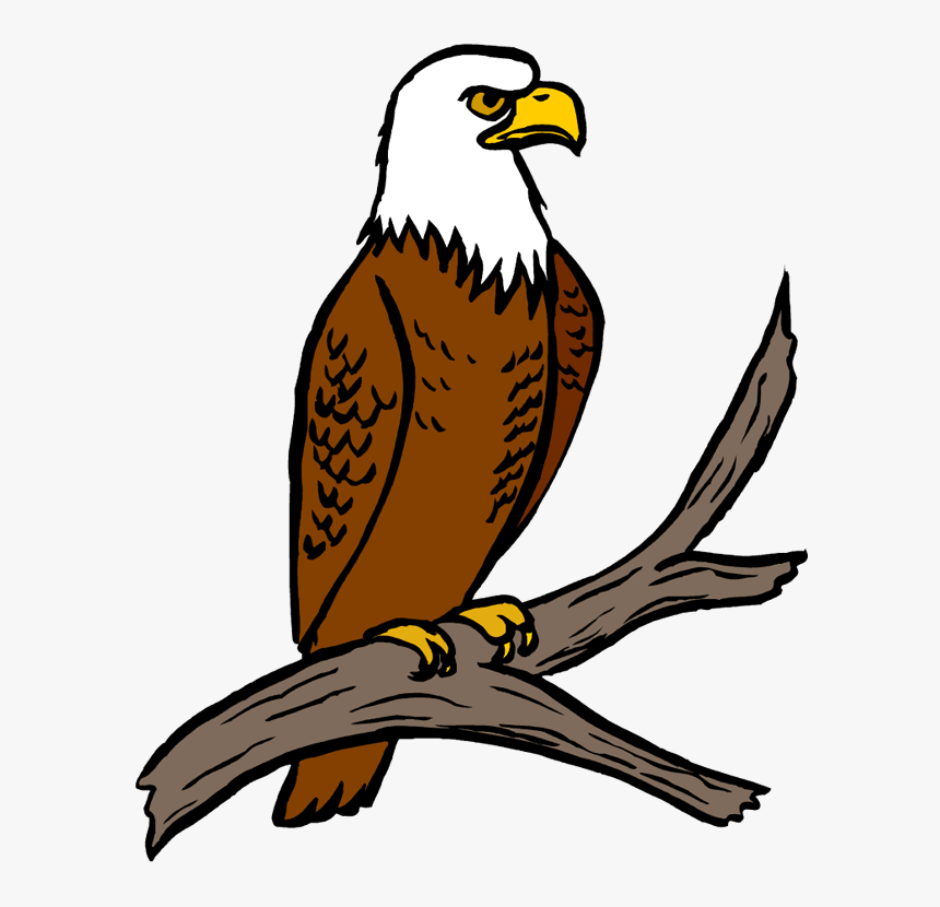 Eagle Perched Png Pic - Philippine Eagle Clipart, Transparent Png, Free Download