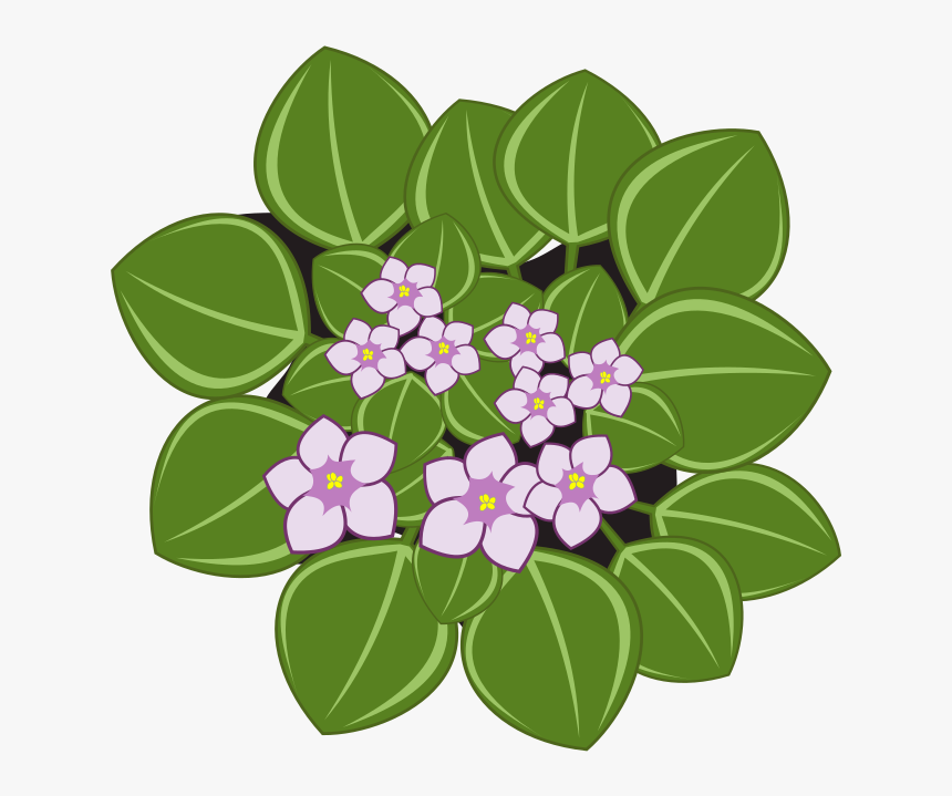 African Violet Flower Clipart Png, Transparent Png, Free Download