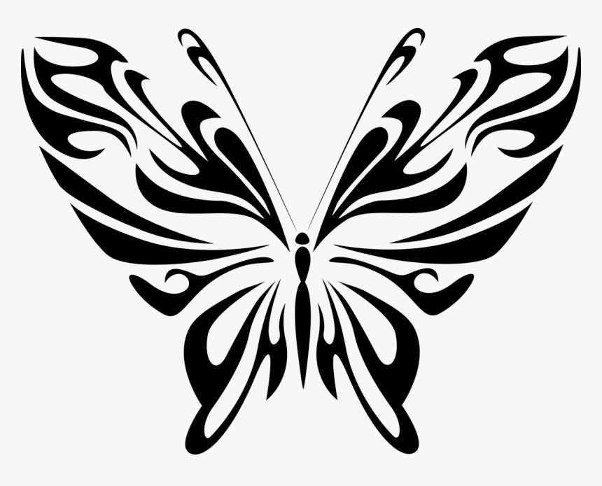 Butterfly Drawing Line Art, HD Png Download, Free Download
