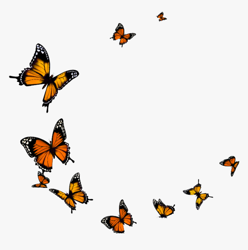 Flying Butterflies Transparent Background, HD Png Download, Free Download