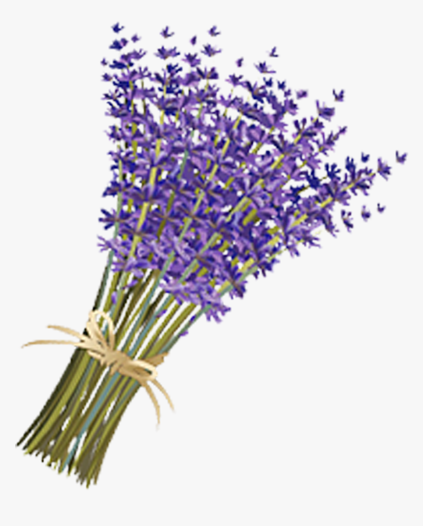 Transparent Violets Png - Transparent Lavender Flower Png, Png Download, Free Download