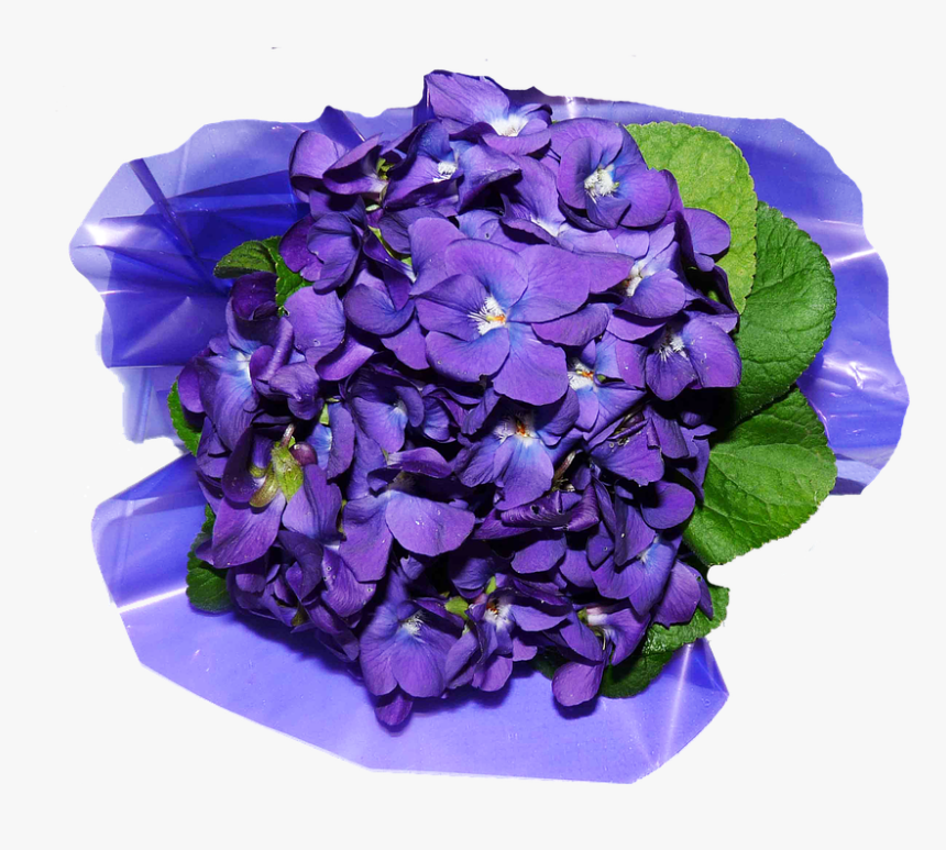 Flowers, Violets, Perfume - Artificial Flower, HD Png Download, Free Download