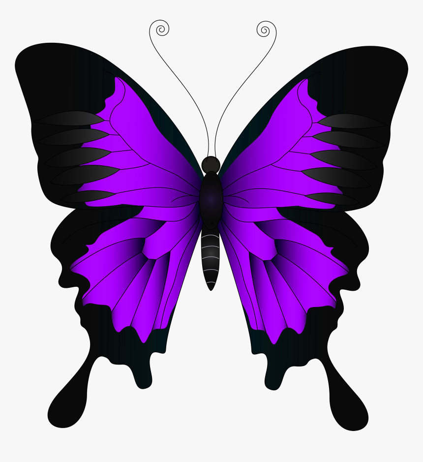 Purple Butterfly Png - Yellow Butterfly Png, Transparent Png, Free Download