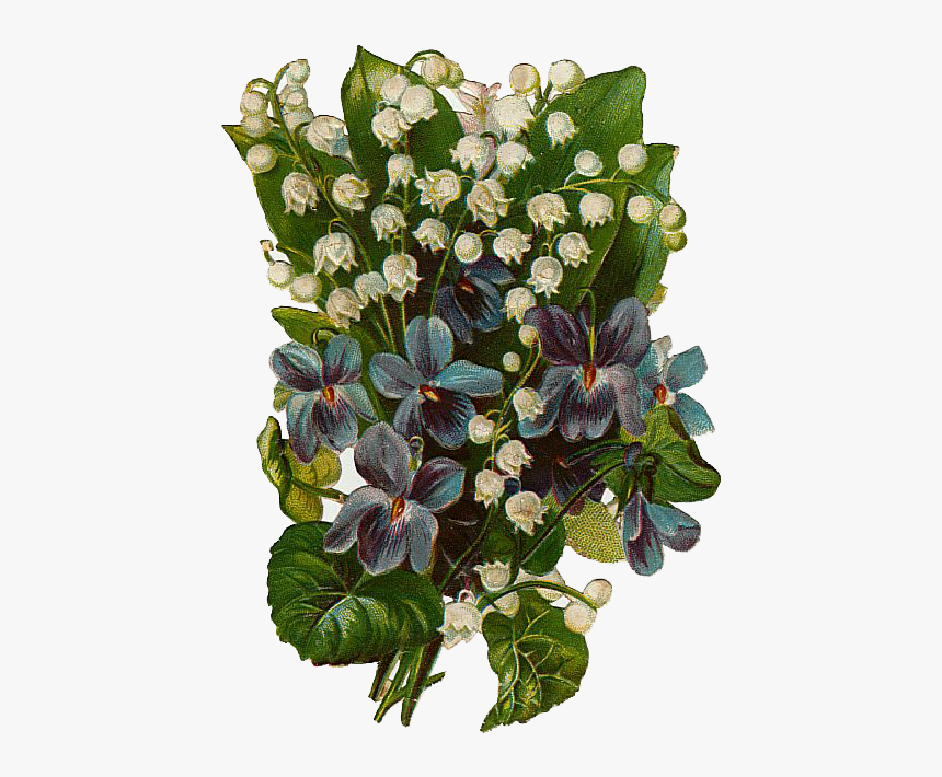 Violets Png, Transparent Png, Free Download