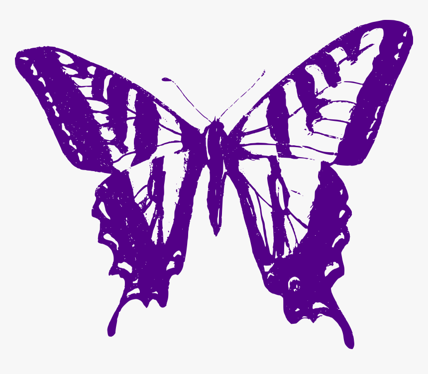 Transparent Purple Butterflies Clipart - Eastern Tiger Swallowtail Caterpillar Anatomy, HD Png Download, Free Download